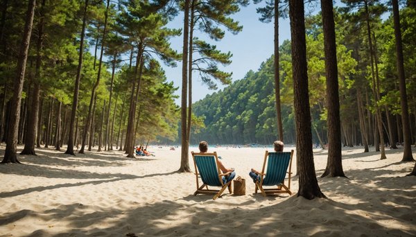 Week-end détente à mimizan : plage, forêt et animations